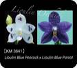 Phal. LL Blue Wave 3641